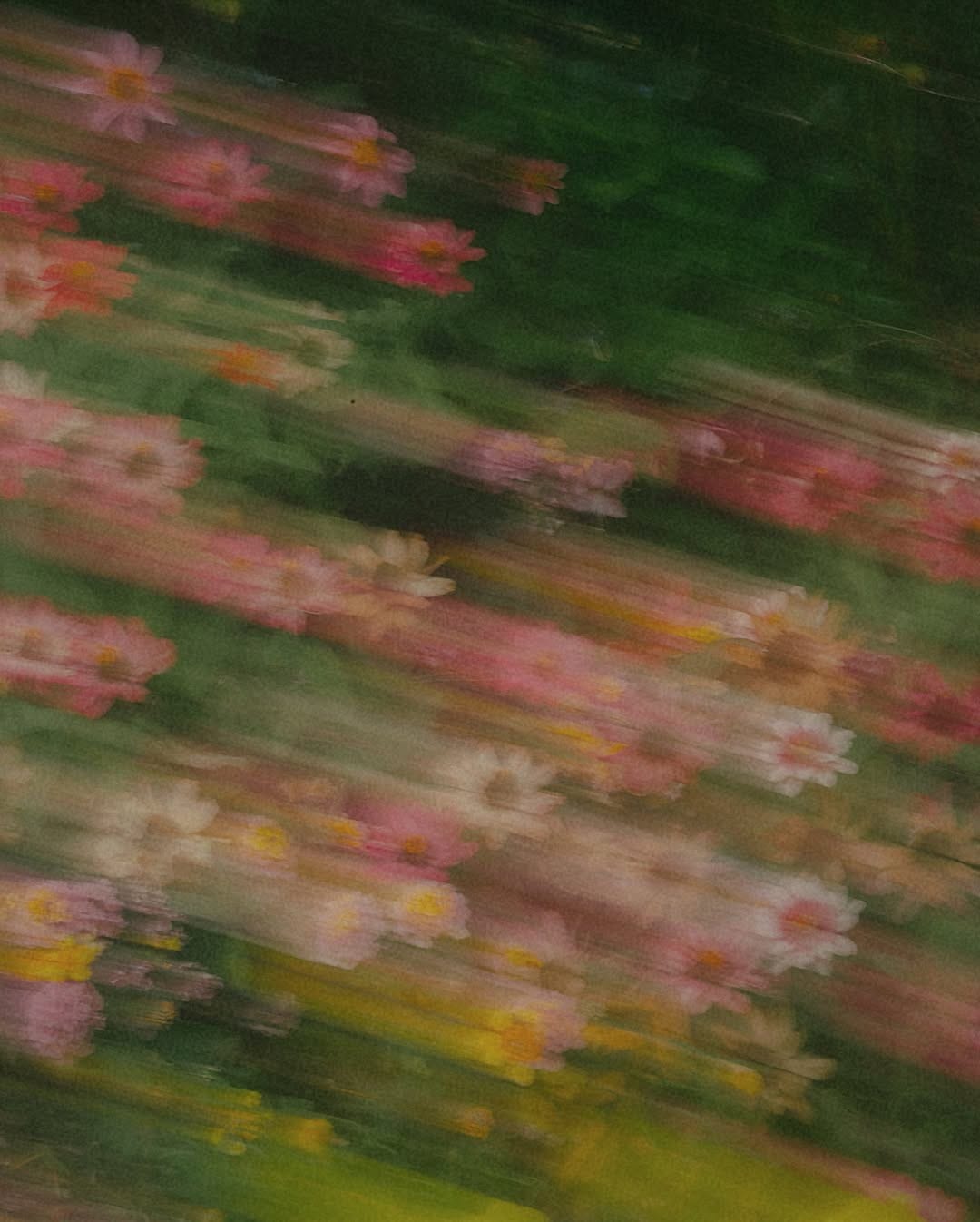 The Art of Noticing